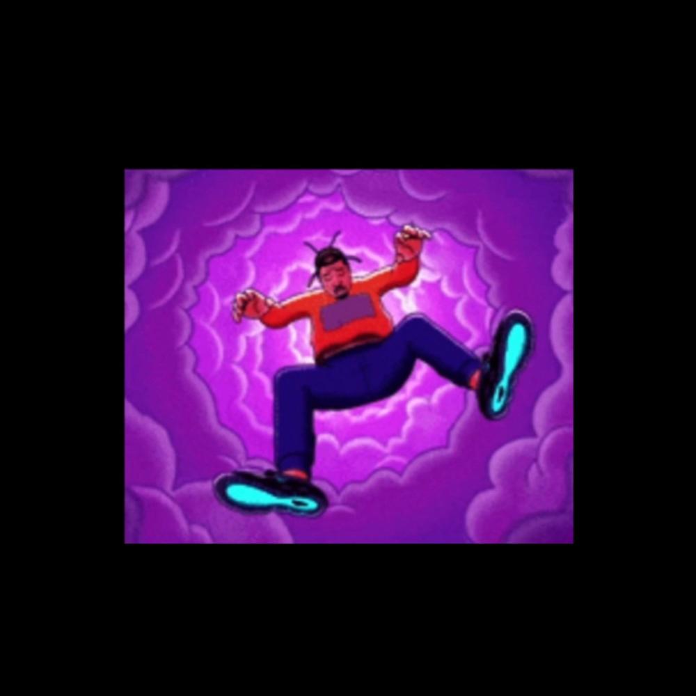 Fly