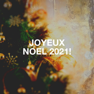 收听Les Choeurs de l'Armée Rouge的Douce nuit, sainte nuit歌词歌曲