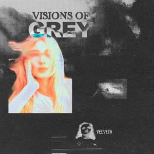 อัลบัม VISIONS OF GREY ศิลปิน The Velvets