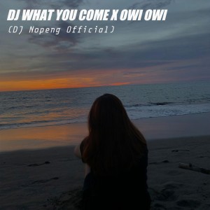 收听DJ Nopeng Official的Dj What You Come X Owi Owi (Remix)歌词歌曲