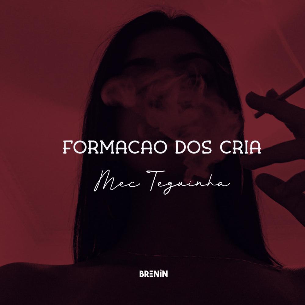 FORMAÇÃO DOS CRIA, MEC TEGUINHA (feat. Mc KF & Mc Neguinho do ITR)