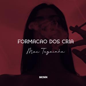 收聽DJ Brenin的FORMAÇÃO DOS CRIA, MEC TEGUINHA (feat. Mc KF & Mc Neguinho do ITR)歌詞歌曲