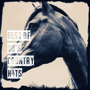 Listen to Life Is a Highway song with lyrics from The Nashville Riders