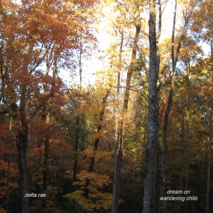 Album Dream On Wandering Child from Delta Rae