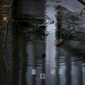 收聽楚悅先生的重回初見歌詞歌曲