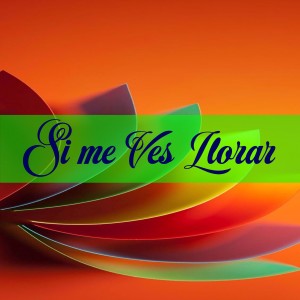 Listen to Me Rehuso song with lyrics from Liss Curiel