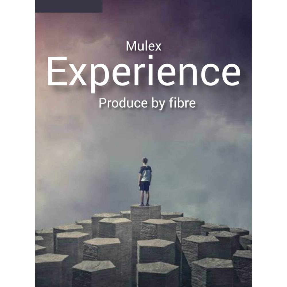 Experience (Explicit)