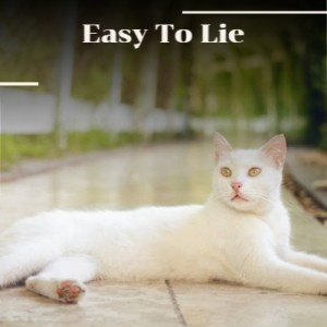Various的专辑Easy to Lie