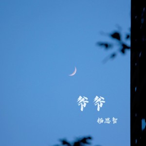 Listen to 爷爷 (完整版) song with lyrics from 杨思智