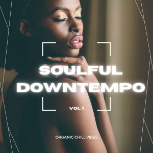 Various的专辑Soulful Downtempo, Vol. 1 (Organic Chill Vibes)