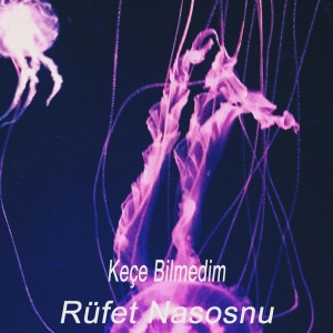 Album Keçe Bilmedim oleh Rüfet Nasosnu
