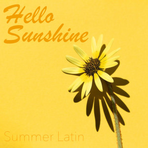 Album Hello Sunshine Summer Latin from Various