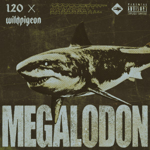 Album Megalodon (Explicit) oleh Wild Pigeon