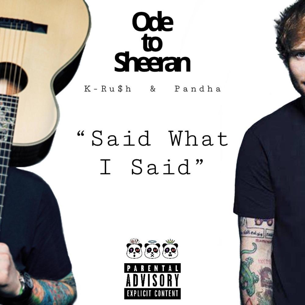 Said What I Said (feat. Pandha) (Explicit)