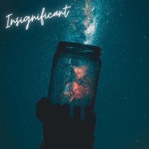 อัลบัม Insignificant (feat. Teeena) (Explicit) ศิลปิน Nobody