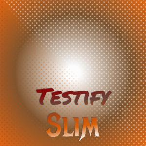 Various的专辑Testify Slim