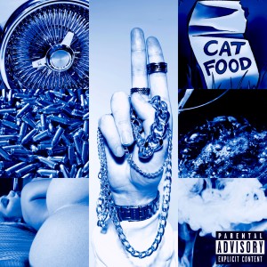 收聽Bubble Bath Cat的G-Shit (Explicit)歌詞歌曲