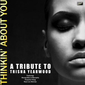收聽Ameritz Tribute Club的To Make You Feel My Love歌詞歌曲