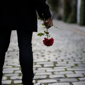 收聽Taffy T的Lost Love歌詞歌曲