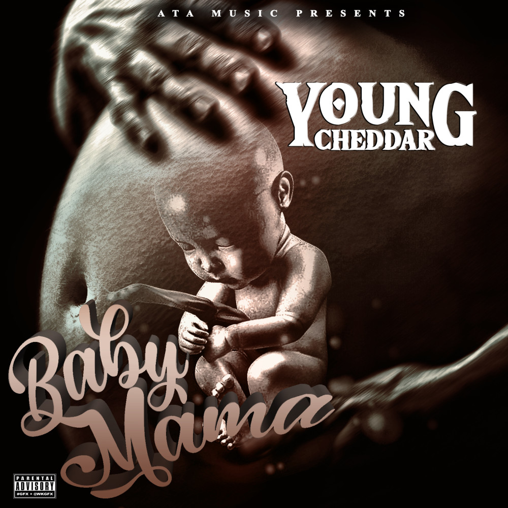 Baby Mama (Explicit)