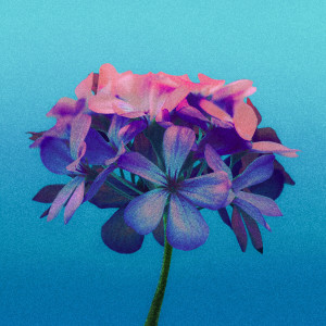 Dengarkan Always be with you lagu dari 원 dengan lirik