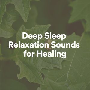 Dr. Meditation的专辑Deep Sleep Relaxation Sounds for Healing