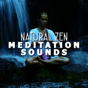 ดาวน์โหลดและฟังเพลง Wood Birds พร้อมเนื้อเพลงจาก Natural Sounds