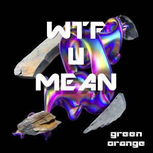 Album Wtf U Mean from grəən oräňgę