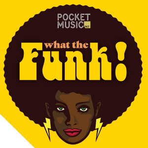 Listen to Funky See Funky Do song with lyrics from Steve Isles