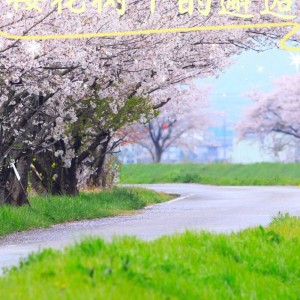 Listen to 樱花树下的邂逅 (完整版) song with lyrics from 苏瑾颜