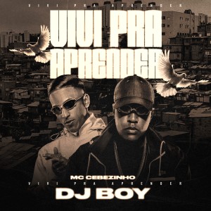 Vivi Pra Aprender dari DJ Boy