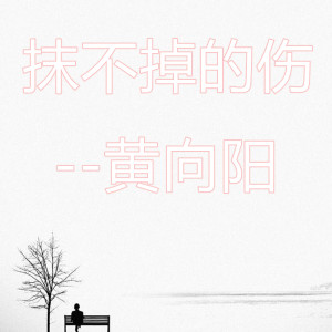 收聽黃向陽的抹不掉的傷 (黃向陽版)歌詞歌曲