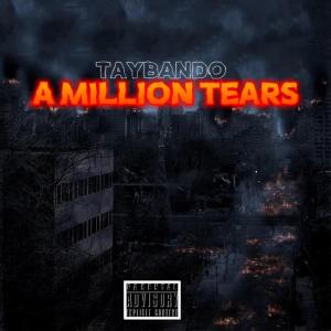 ดาวน์โหลดและฟังเพลง A Million Tears (Explicit) พร้อมเนื้อเพลงจาก TayBando