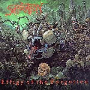 ดาวน์โหลดและฟังเพลง Seeds Of The Suffering พร้อมเนื้อเพลงจาก Suffocation