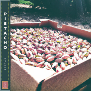 收聽Santao的Pistacho歌詞歌曲