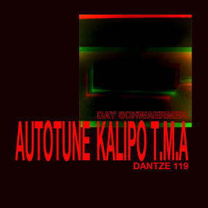 Autotune的專輯Day Schwaermer