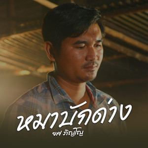 อัลบัม หมาบักด่าง ศิลปิน 