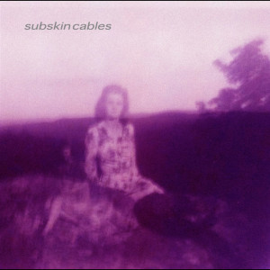 ดาวน์โหลดและฟังเพลง What Could Go On (Explicit) พร้อมเนื้อเพลงจาก Subskin Cables