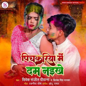 Listen to Pichakariya Me Dam Naikhe song with lyrics from Vivek Sanjeet Deewana