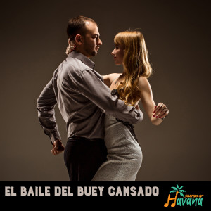 收聽Los Van Van的El Baile del Buey Cansado歌詞歌曲