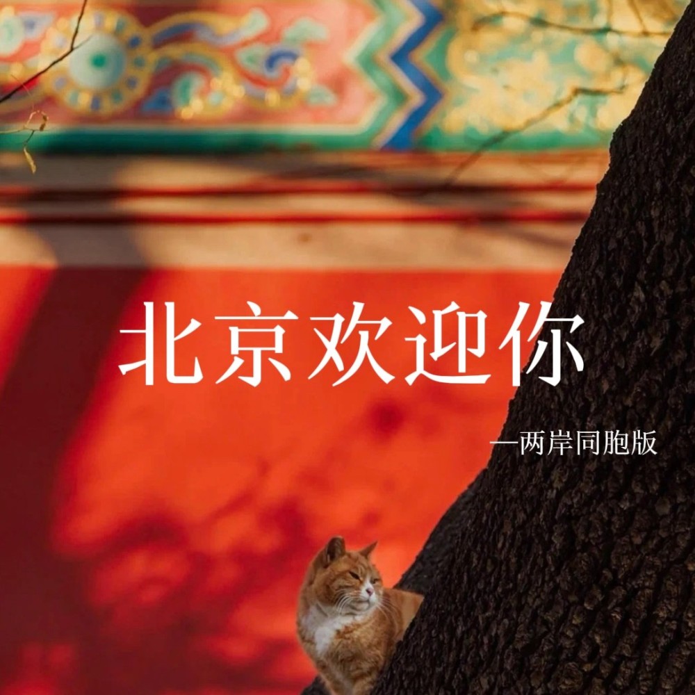 北京欢迎你 (cover: 华语群星) (完整版)