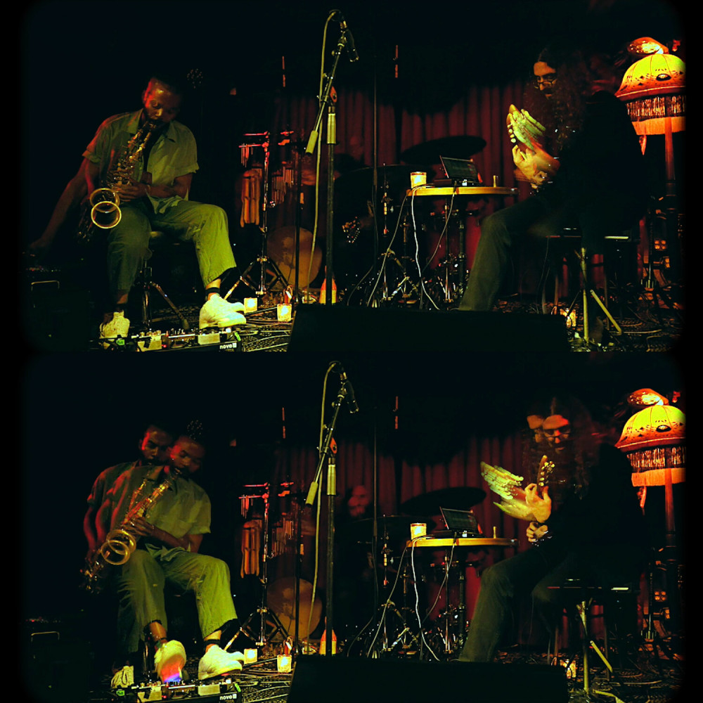 Magnolias 2 (Live)