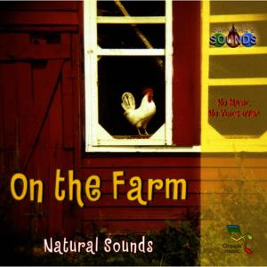 ดาวน์โหลดและฟังเพลง The cows are moved to a different field. พร้อมเนื้อเพลงจาก Our World's Sounds