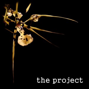 ดาวน์โหลดและฟังเพลง Drink Me พร้อมเนื้อเพลงจาก The Project