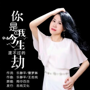Album 你是我今生渡不过的劫 (女声版) from 