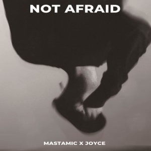 Listen to Not Afraid (Instrumental) song with lyrics from MastaMic