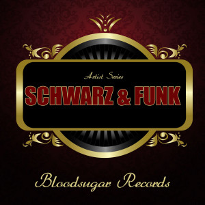 ดาวน์โหลดและฟังเพลง Slow Down พร้อมเนื้อเพลงจาก Schwarz