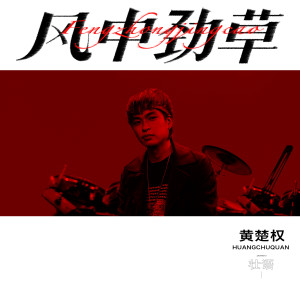 Album 风中劲草 (壮语剪辑版) oleh 黄楚权