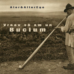 Listen to Vreau Să Am Un Bucium (Explicit) song with lyrics from Ater