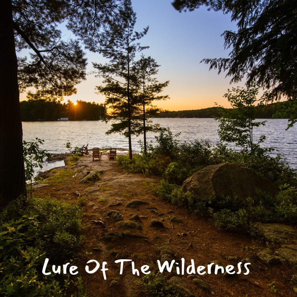 Laurie (Original Soundtrack from 'Lure of the Wilderness')